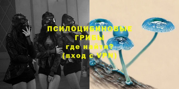 шишки Сосновка