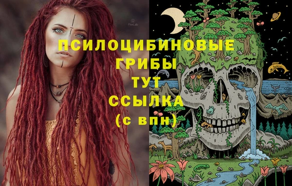 шишки Сосновка