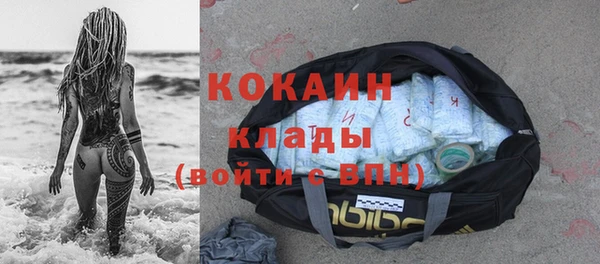 шишки Сосновка