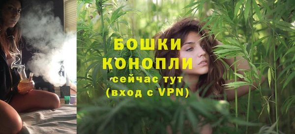 гидра Сосновоборск