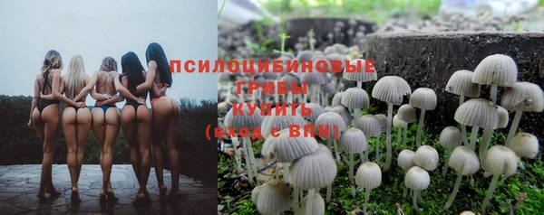 шишки Сосновка