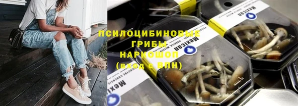 шишки Сосновка