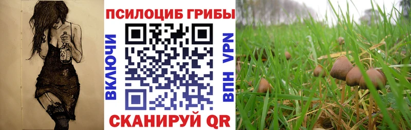 Купить закладки  Медвежьегорск  Псилоцибиновые грибы ЛСД 